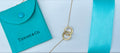 Tiffany & Co. 1837 Collection Necklace